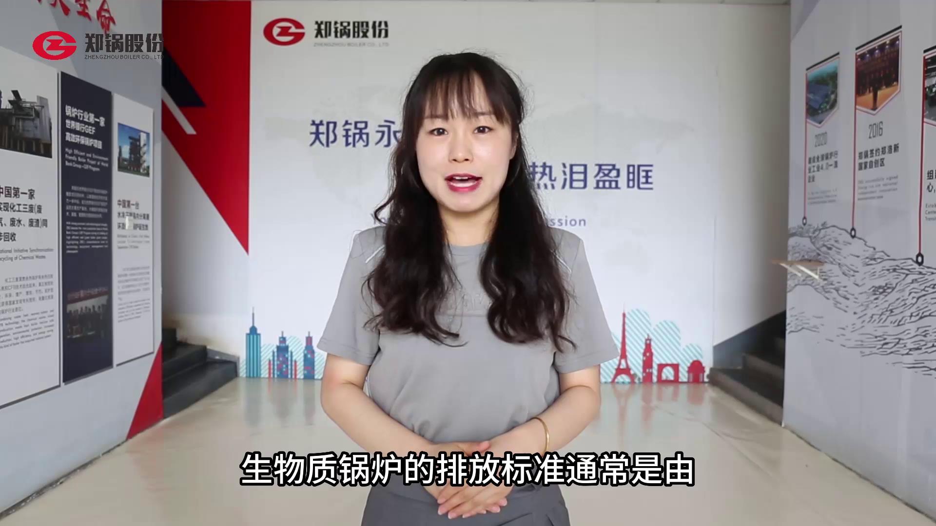 �����ʹ�¯���ŷű�׼