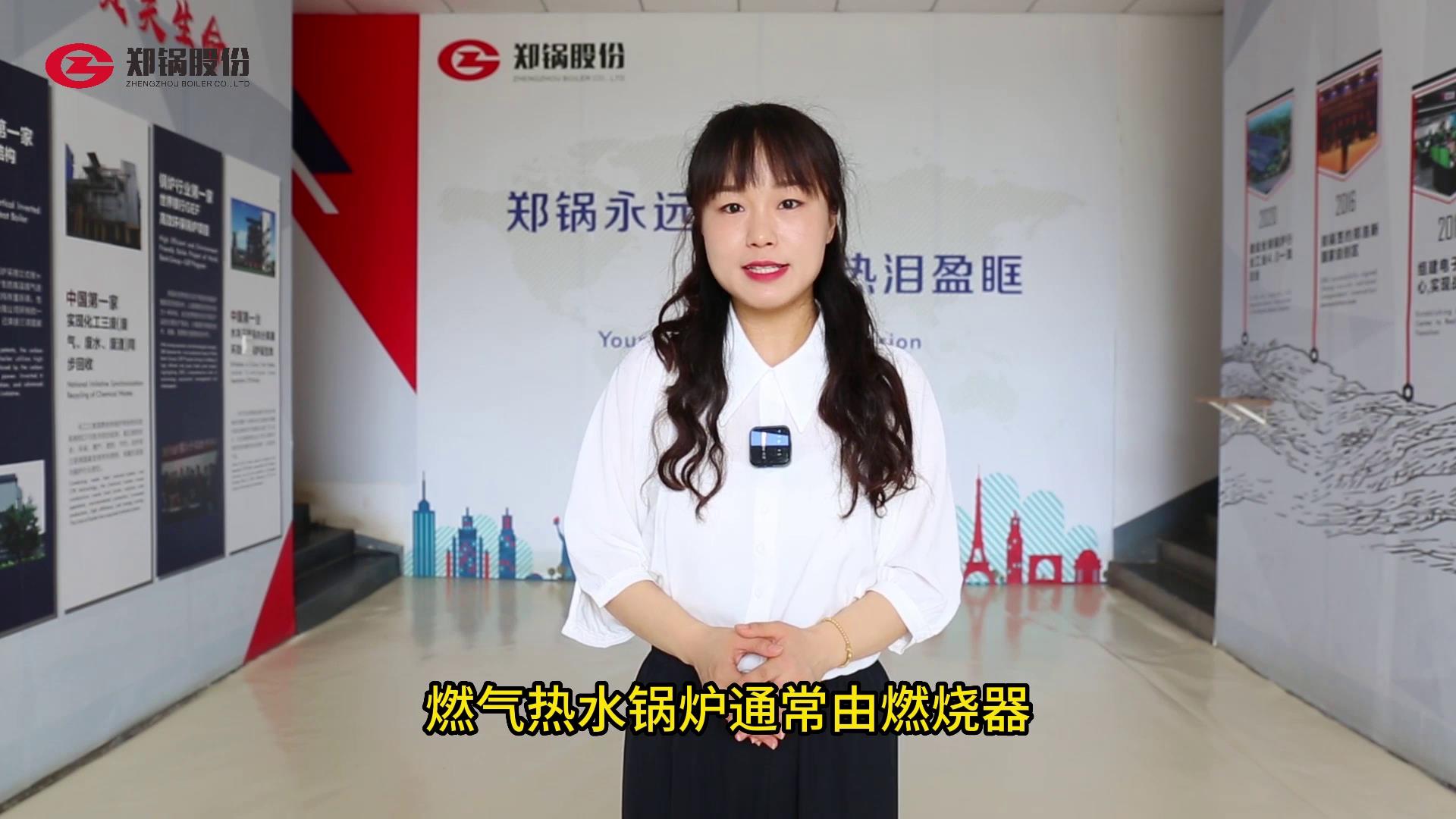 ȼ����ˮ��¯������ԭ��