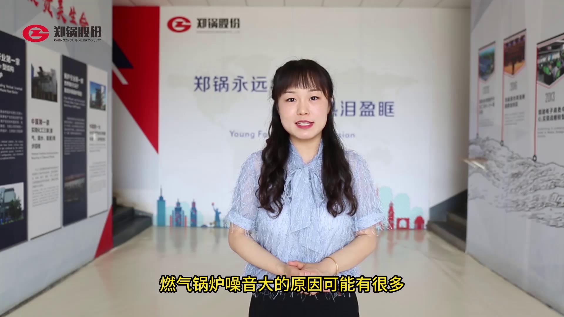 ȼ����¯��������������