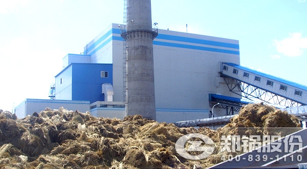 ȼÉúÎïÖÊÕôÆû¹øÂ¯