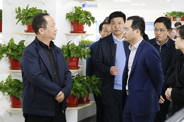 �ӱ�ʡ����������������һ��ݰ��MG���ӹɷݿ���ָ������