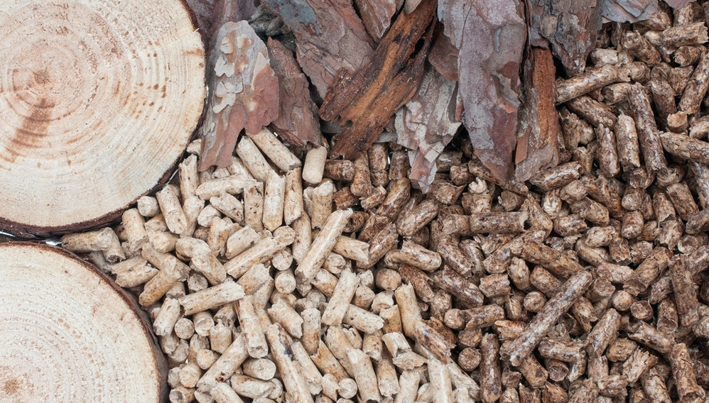 ���֣�ũ�������ʷ��罫�״μ����г�������