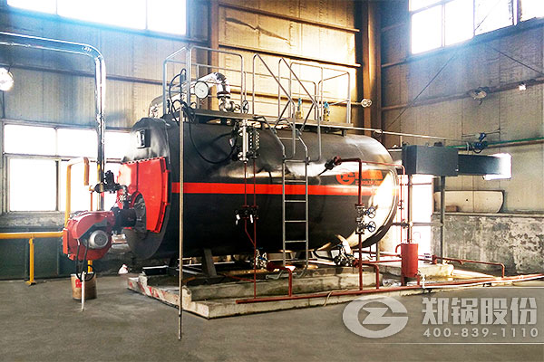 С����WNS����ȼ����¯��Ŀ