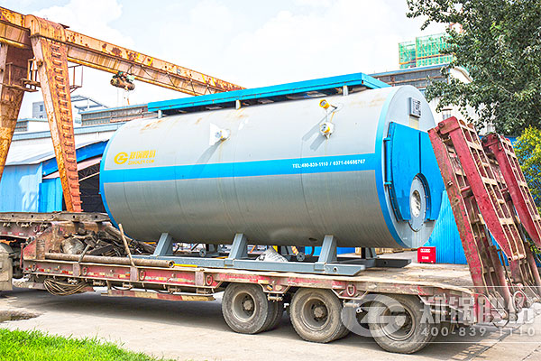 ������6��WNSȼ����¯��Ŀ