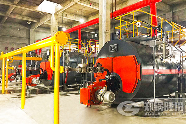 ���޾Ƶ�3̨����WNSȼ����¯��Ŀ