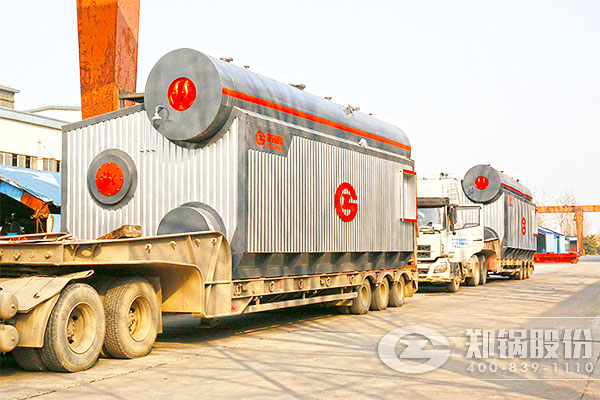 ����˹��2̨20��SZSȼ���͵�ȼ�չ�¯��Ŀ