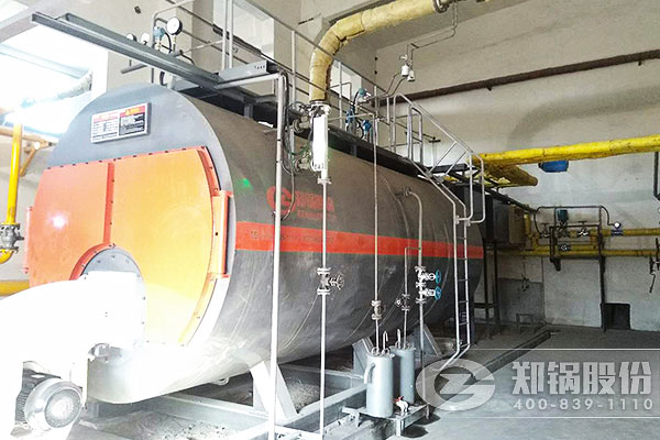 ���ĺ���2*10��/ʱWNS����ȼ����¯��Ŀ