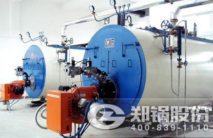 WNS��ȼ��ȼ����¯ - MG����