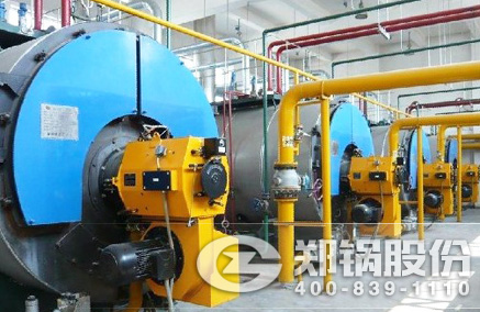 WNS��ȼ��ȼ����¯ - MG����