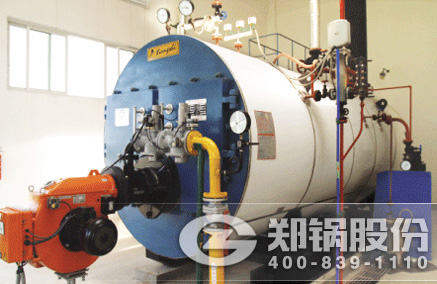 WNS��ȼ��ȼ����¯ - MG����