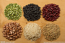 �Ƴ���¯��ʳ����