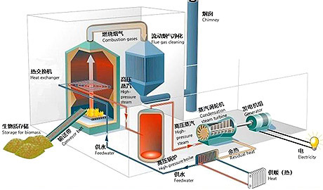 �����ʷ����Ͷ������