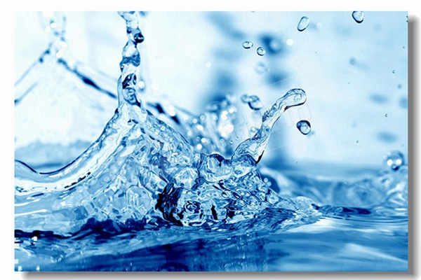 4000kg h˫Ͳ������¯