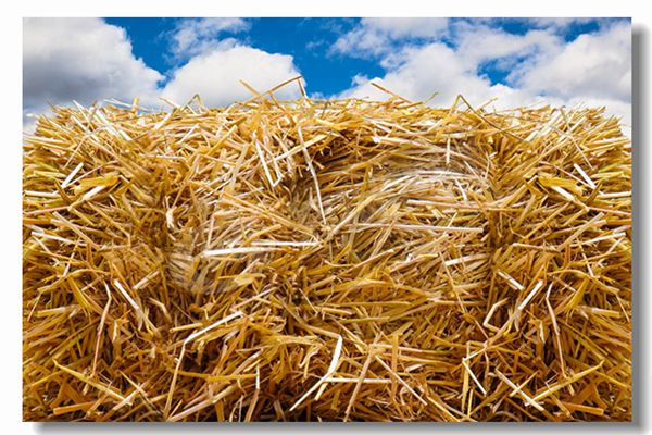 ��ҩ��ҵȼ����ˮ��¯�۸�