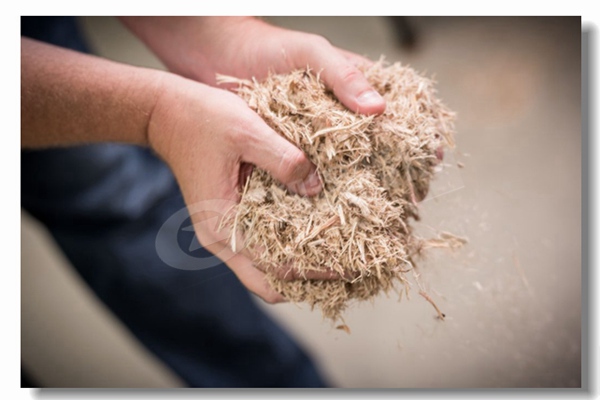 10�������Ĺ�¯��Ǯ