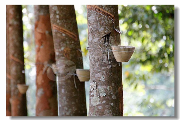 �����������ϵĹ�ҵ�����ʹ�¯