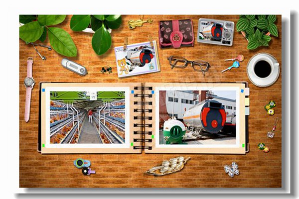 ѭ����������¯���¸���ν��е�����