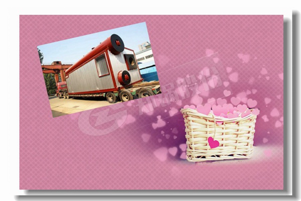 2t����ȼ��������¯