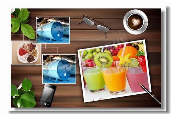 Ʒ��wns��ȼ��������¯��ҵ