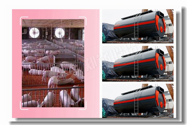 5000����ȼ�ͻ���Ȼ��������¯