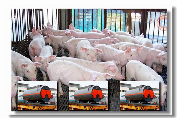 ������ѭ��������CFB��¯��������