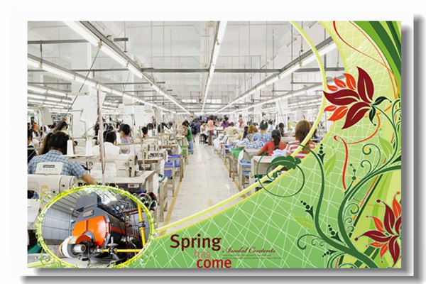 10��wnsϵ��ȼ��������¯