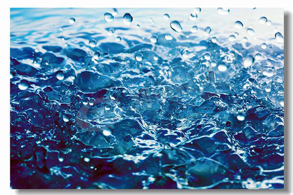 ���������ʹ�¯����Ǯ��